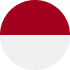 Indonesian language flag