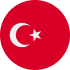 Turkish language flag