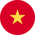 Vietnamese language flag